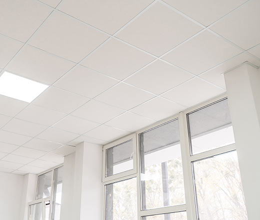 Crisp white ceiling tiles lightly contrasting with glass doors and windows